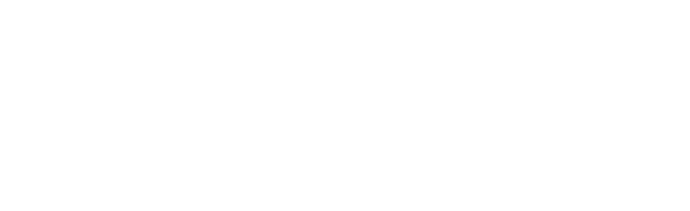BiDEX Binary Broker